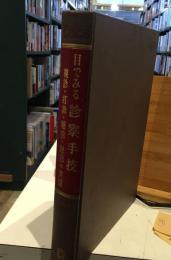 目でみる診察手技 : 視診・打診・聴診・触診の実際
