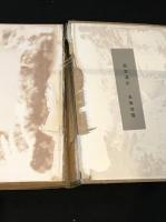 藪野椋十 世界見物