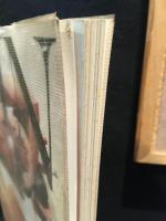 野田亜人パンドラの匣