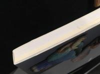 イケムラレイコうつりゆくもの = Leiko Ikemura: transfiguration