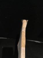 アサヒカメラ　1927年1月号