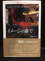 イメージの前で : 美術史の目的への問い