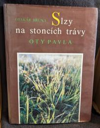 Sizy na ston?ch tr?vy