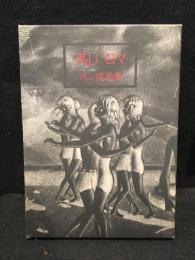 美しい日々　片山健画集