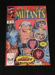 THE NEW MUTANTS #87 (ケーブル初登場回)　【アメコミ】【原書コミックブック(リーフ)】