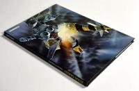 STAR QUEST : An Incredible Voyage Into the Unknown