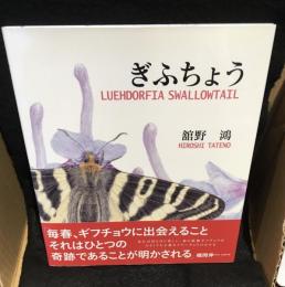 ぎふちょう = LUEHDORFIA SWALLOWTAIL