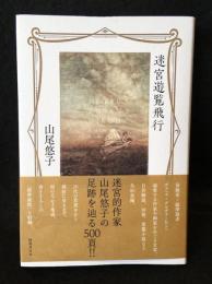 迷宮遊覧飛行