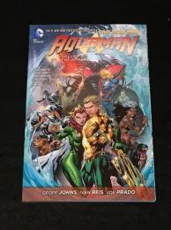 AQUAMAN(2011) Vol.2 「THE OTHERS」　【アメコミ】【原書トレードペーパーバック】