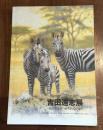 吉田遠志展 私たちは見つめられている