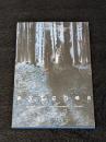 Wytches (2nd) 【アメコミ】【原書トレードペーパーバック】