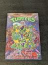 TEENAGE MUTANT NINJA TURTLES : SATURDAY MORNING ADVENTURES　【アメコミ】【原書トレードペーパーバック】