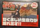 それ行け！！珍バイクｍｉｎｉ