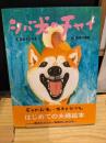 シバ犬のチャイ