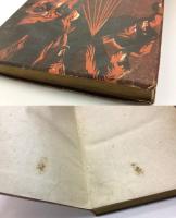 悪魔の紋章