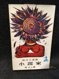 小説家 : 現代の英雄