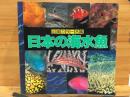 日本の海水魚