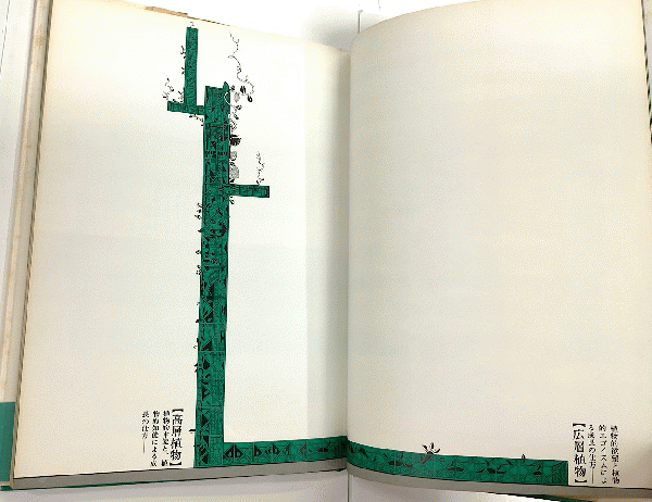 真鍋博の植物園(真鍋博) / 古本、中古本、古書籍の通販は「日本の