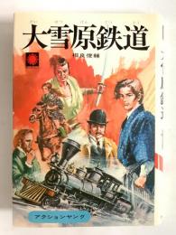 大雪原鉄道  〈サンヤングシリーズ27〉