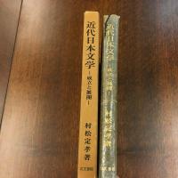 近代日本文学 : 成立と展開