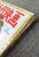 別冊近代映画 '66 3月号 日本レコード大賞受賞記念！ 美空ひばり特別号