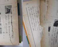 怪獣図解入門