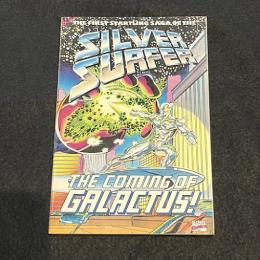 Silver Surfer - The Coming of Galactus EX【アメコミ】【原書ペーパーバック】