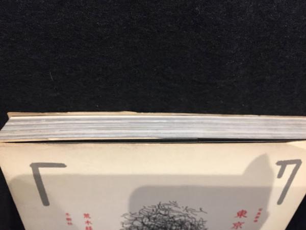東京エレジー : 写真劇場 | 荒木経惟 著 | 冬樹社 | ¥4,400 - 日本の