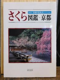 さくら図鑑・京都