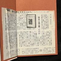 夢の世界とカタストロフィ
