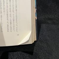 ゆらめく炎