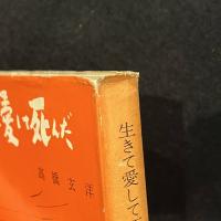 生きて愛して死んだ　高橋玄洋作品集