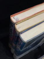 新・古事記伝