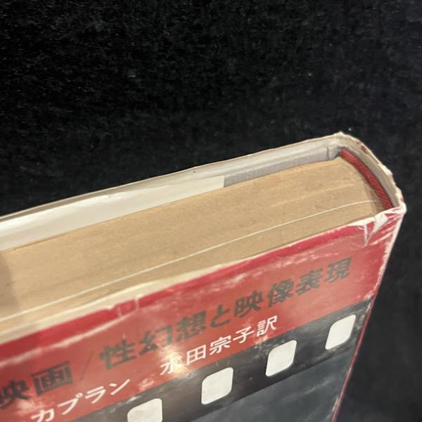フェミニスト映画 : 性幻想と映像表現(E.アン・カプラン 著