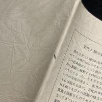 文化とコミュニケーション : 構造人類学入門