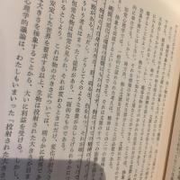 視覚的思考 : 創造心理学の世界