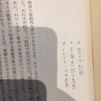 視覚的思考 : 創造心理学の世界