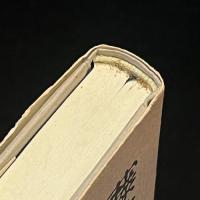 不如帰の時代 : 水底の漱石と青年たち