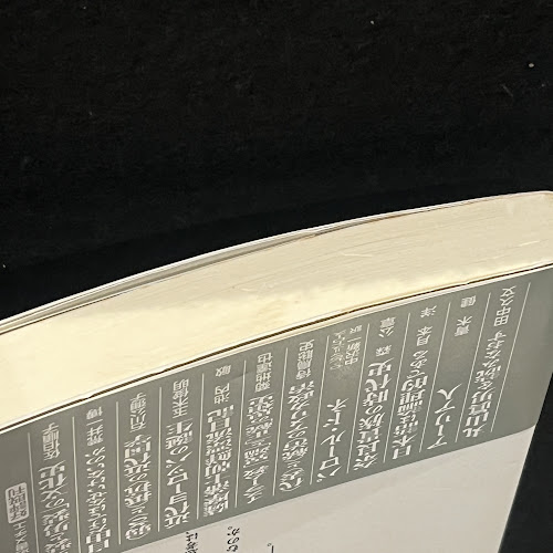 2冊セット近代政治の脱構築　ロベルト　エスポジト 近代政治の脱構築 共同体・免疫・生政治 (講談社選書メチエ 451