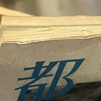 都市　別冊　「特集　沼正三＋マゾヒズム」