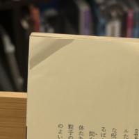 都市　別冊　「特集　沼正三＋マゾヒズム」