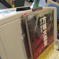 方城大非常