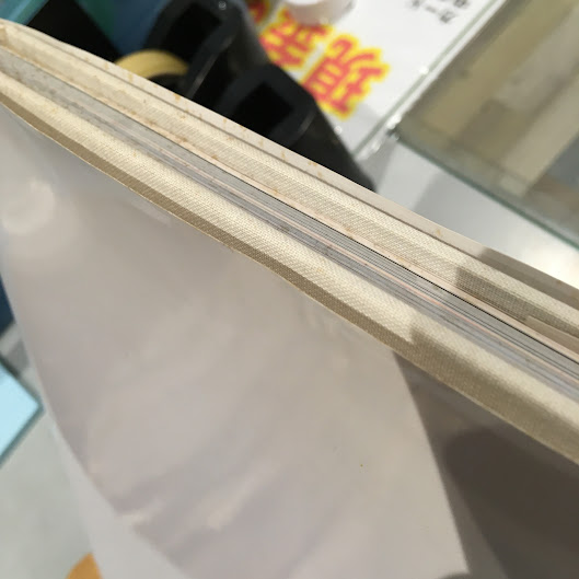 Riona 【葉月里緒菜】【篠山紀信 】(篠山紀信 撮影) / 古本、中古本