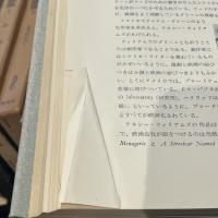 英米文学史講座 13冊揃