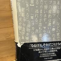 日本語源広辞典