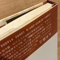 夢遊病者の円舞曲