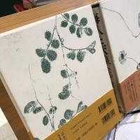 梅原猛著作集　海人と天皇