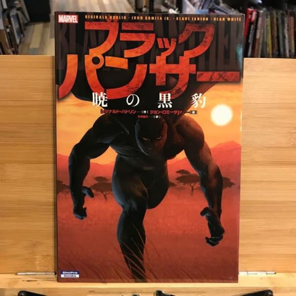 ブラックパンサー ポスター | 力強い黒ヒョウの横顔アート | ポスター ストア ジャパン