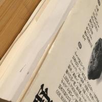 野呂邦暢作品集