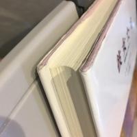 彼女たち : 性愛の歓びと苦しみ